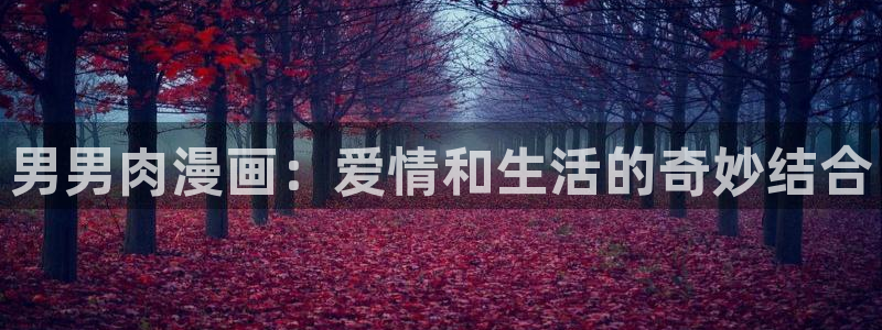 虫虫漫画全集免费：男男肉漫画：爱情和生活的奇妙结合