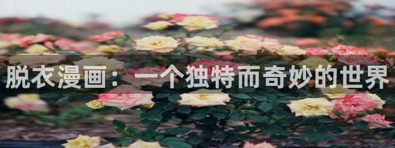 漫画分类-虫虫漫画：脱衣漫画：一个独特而奇妙的世界